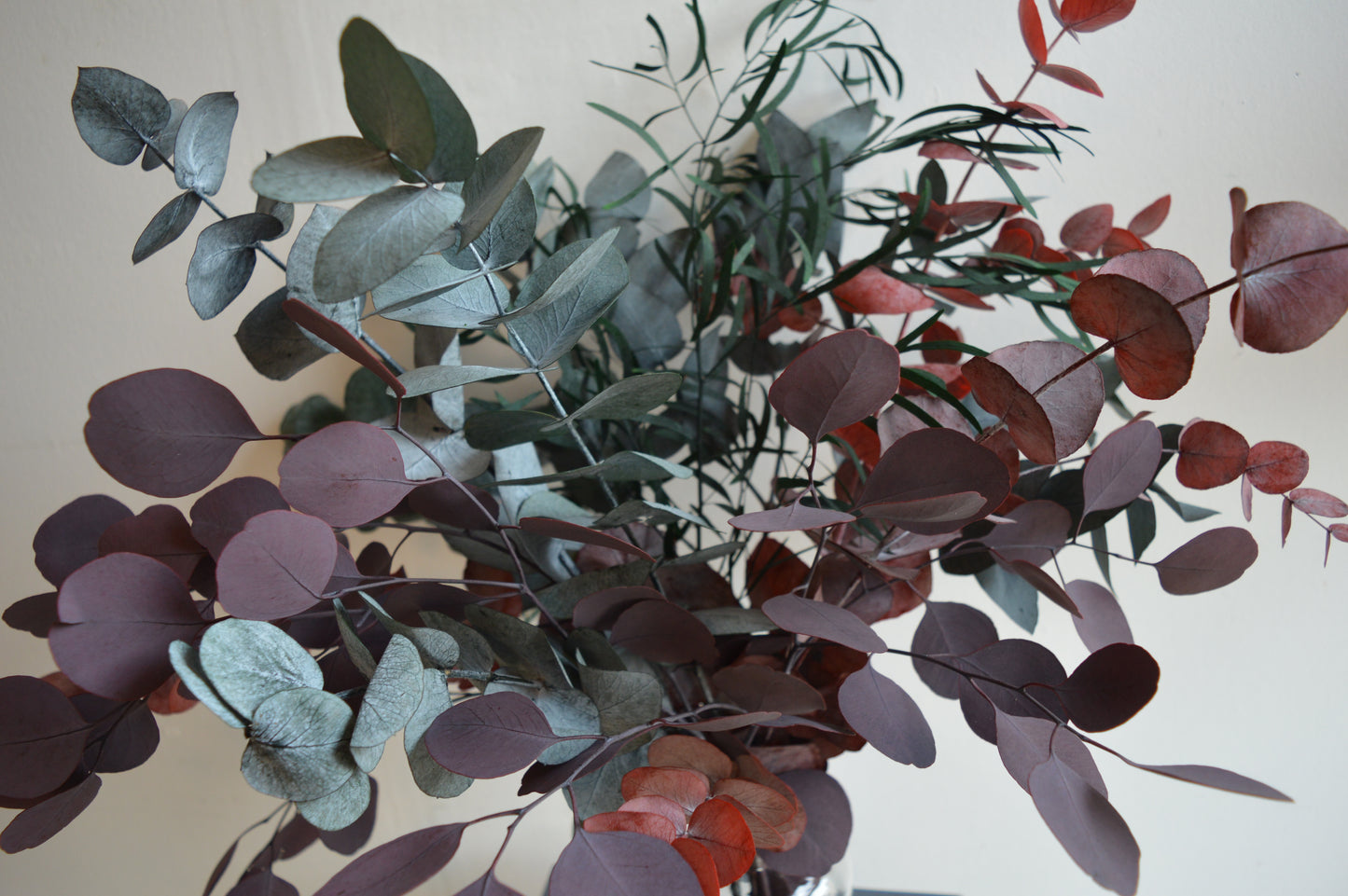 Preserved Mixed Eucalyptus Bouquet image 3
