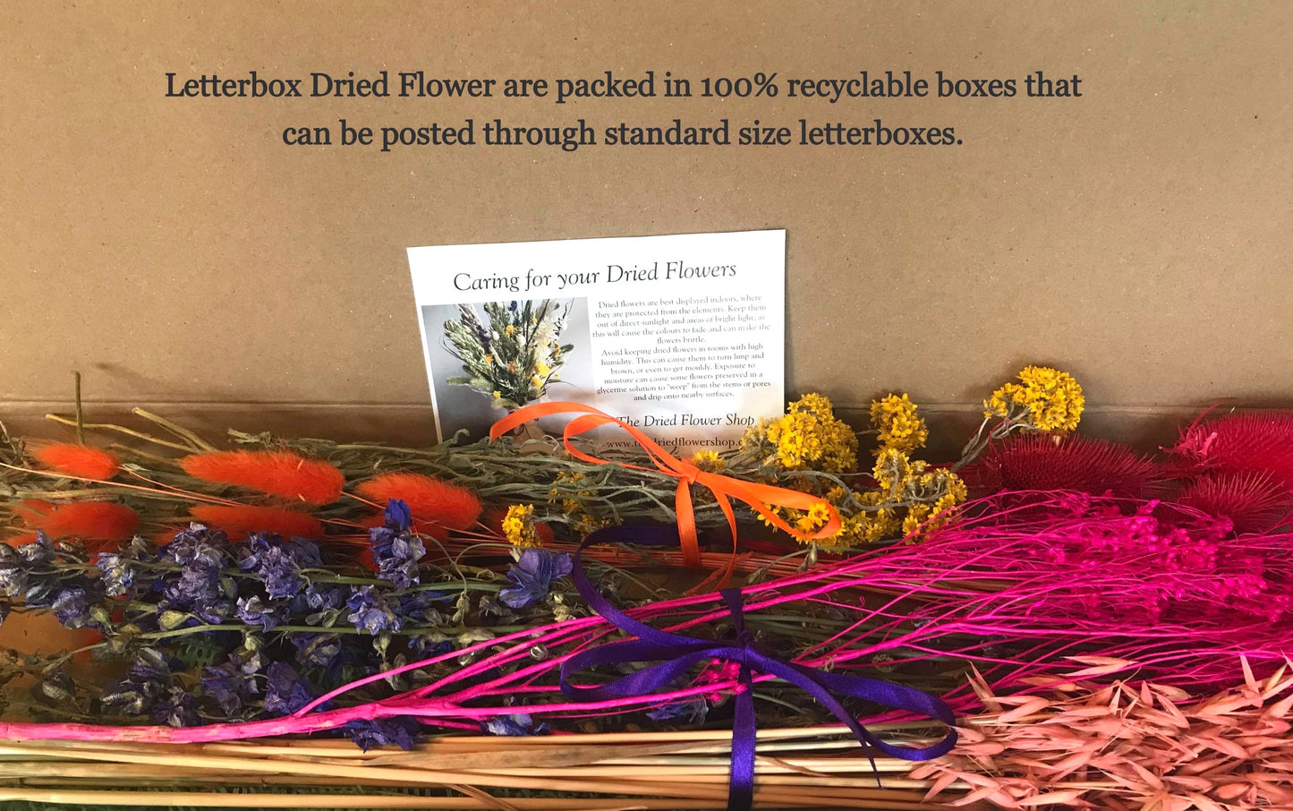 Vibrant Dried & Wild Letterbox Flowers image 2