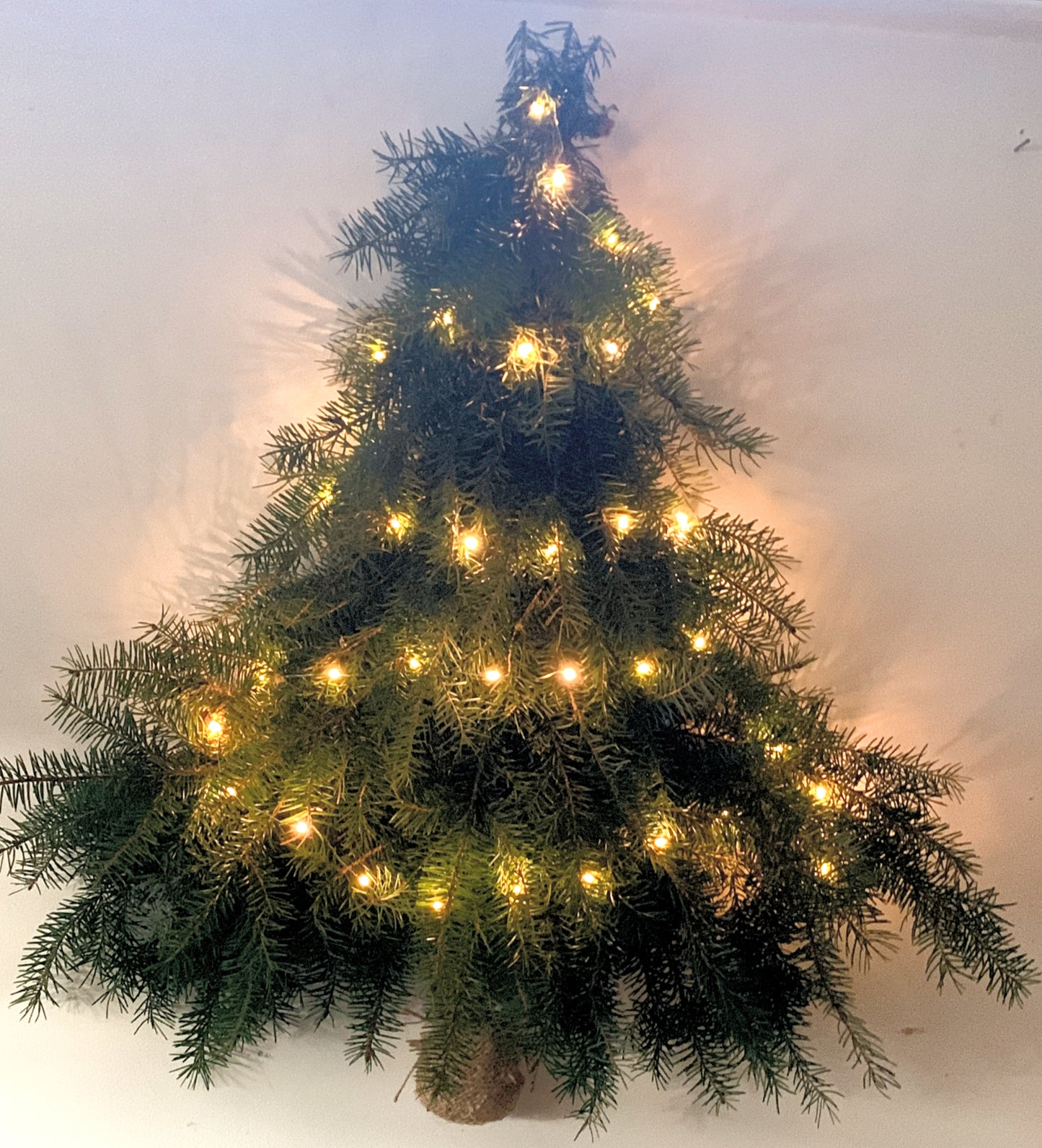 Christmas Tree Door Décor Workshop - 25th Nov 2025