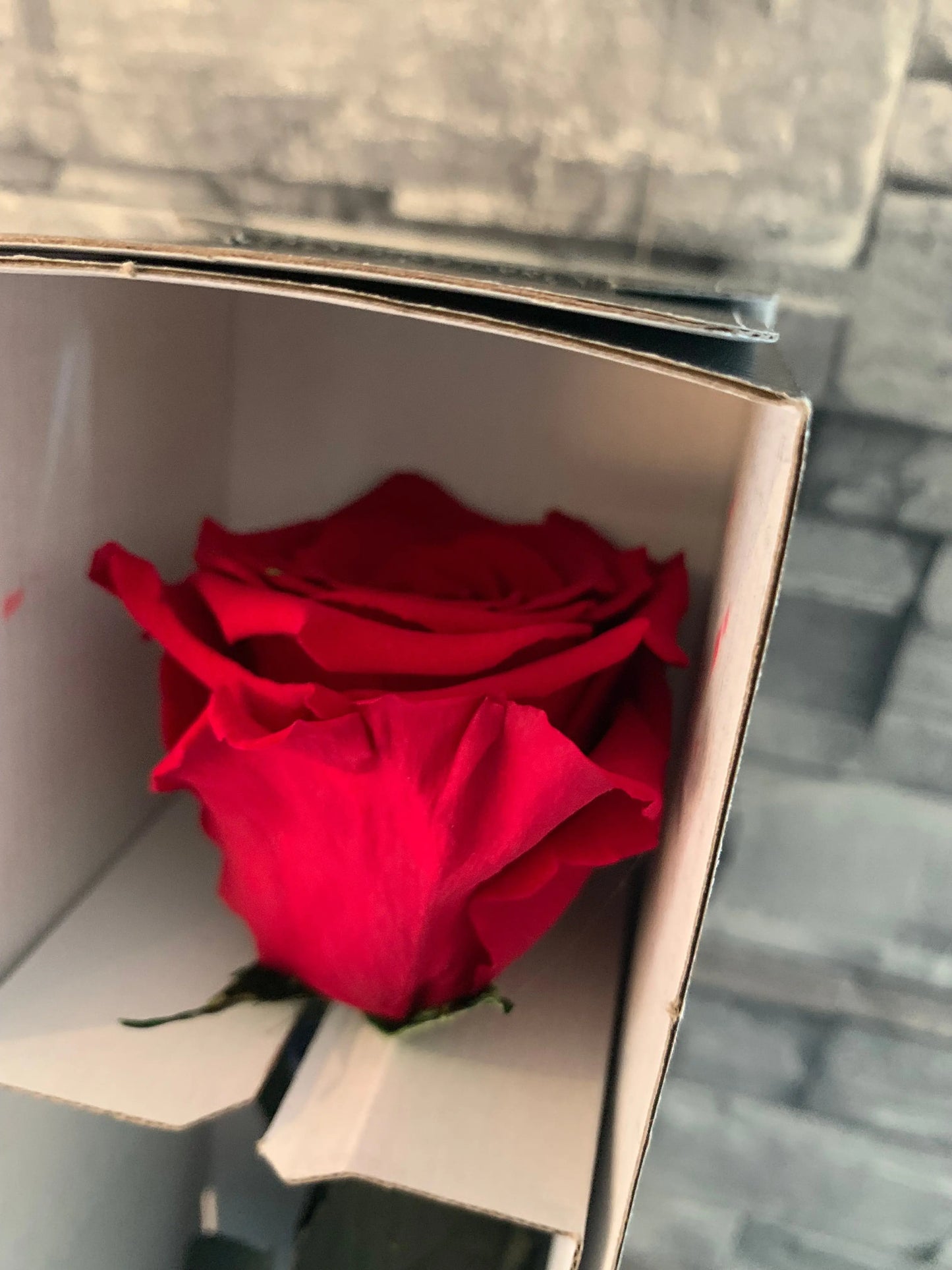 The head of a forever red rose displayed secured into shipping box