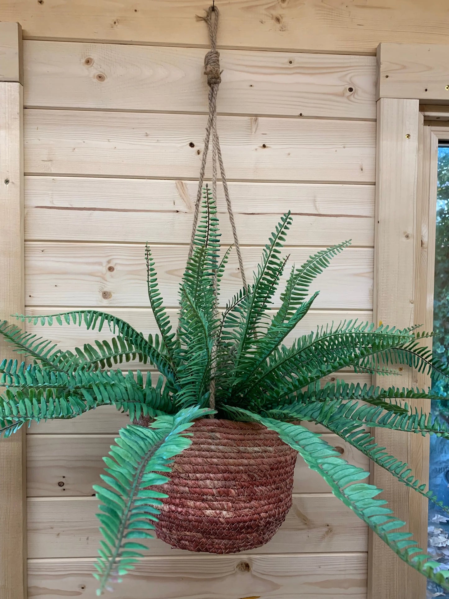 Seagrass Hanging Basket / House Plant Basket The Dried Flower Shop