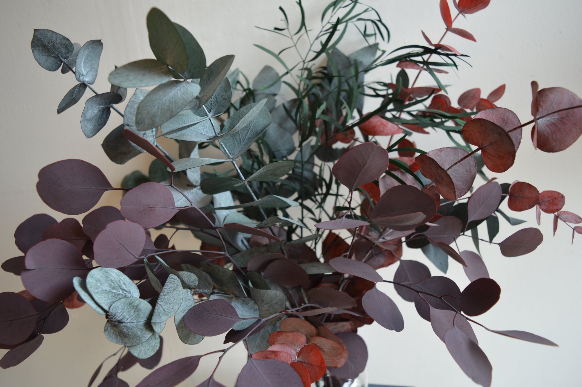 Preserved Mixed Eucalyptus Bouquet image 3