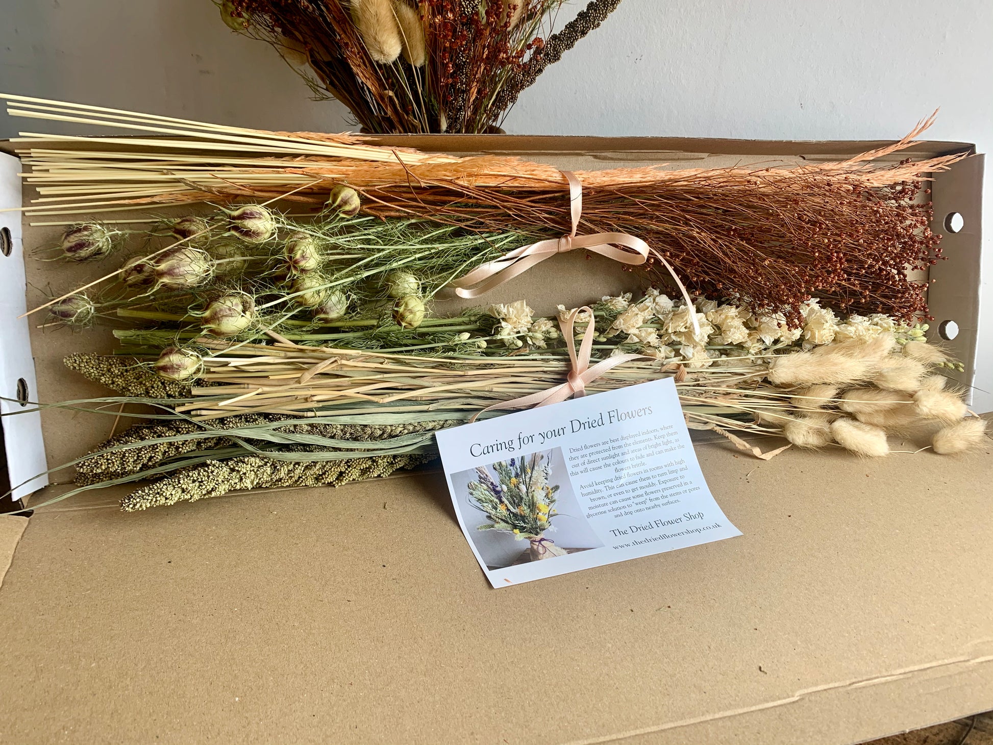 Dried & Wild Letterbox Flowers - Peachy image 2