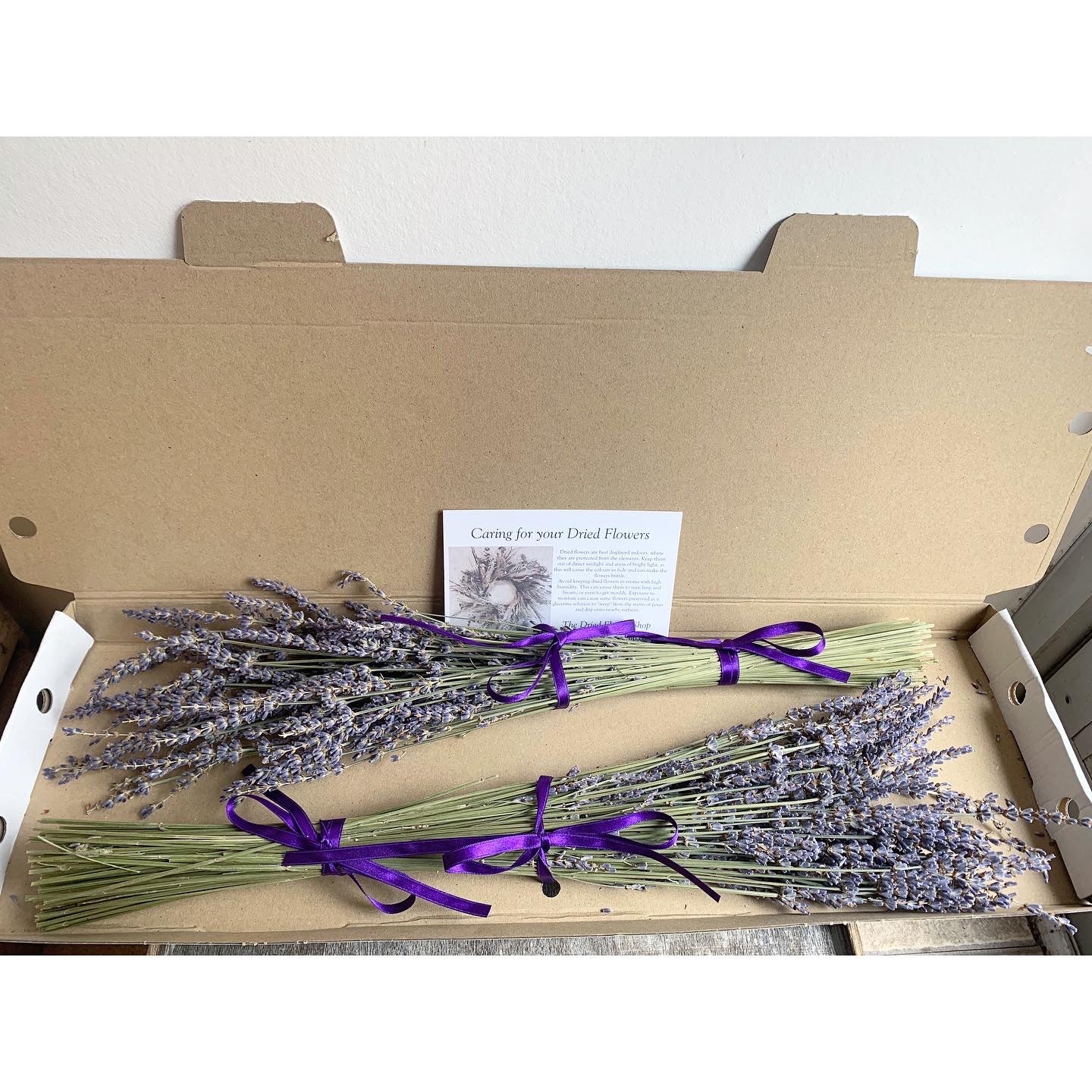 Letterbox Lavender image 1