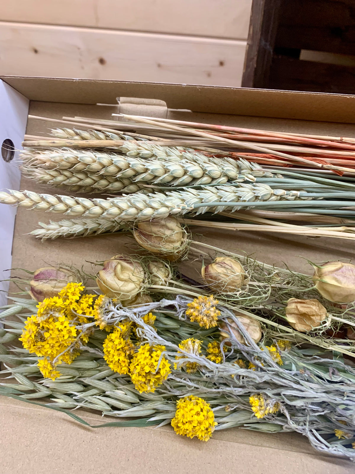A collection of dried natural materials including wheat ears, small yellow flowers, and dried love-in-a-mist arranged inside a cardboard box.