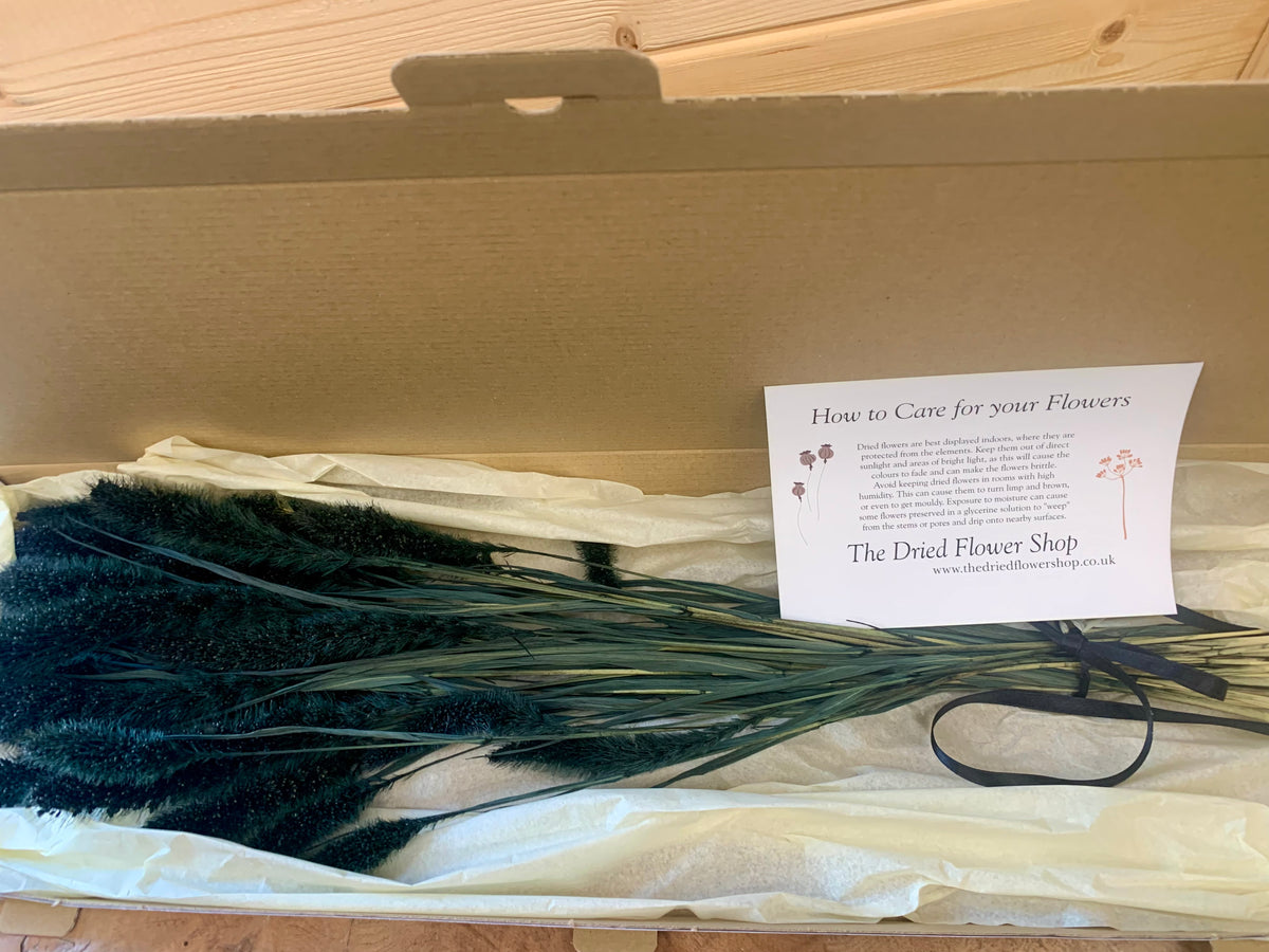A bundle of dark green dried ornamental grasses inside a brown cardboard gift box, wrapped in white tissue paper with a care card from 'The Dried Flower Shop'.