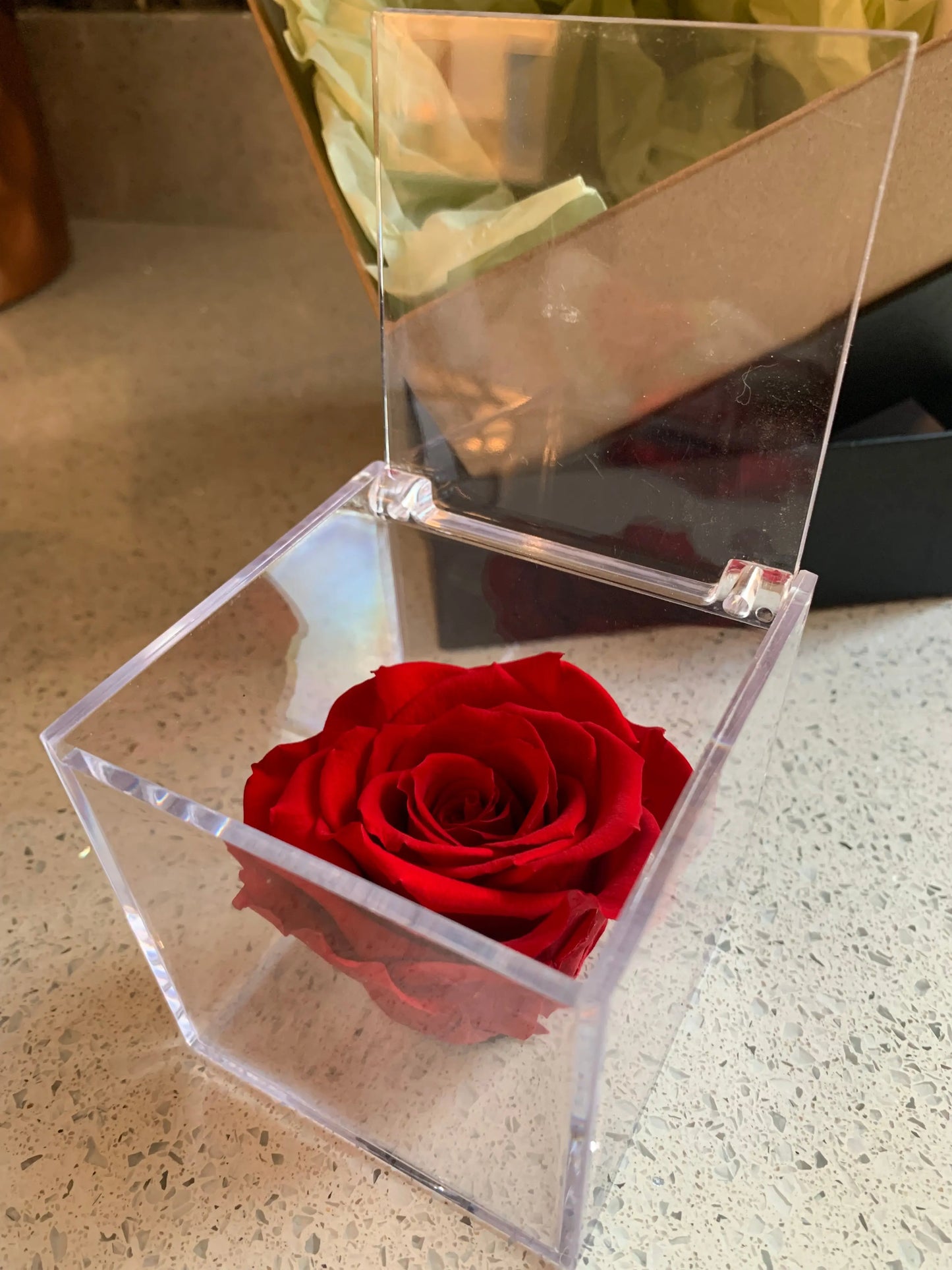 A preserved red rose head displayed in a perspex box with the lid open. 