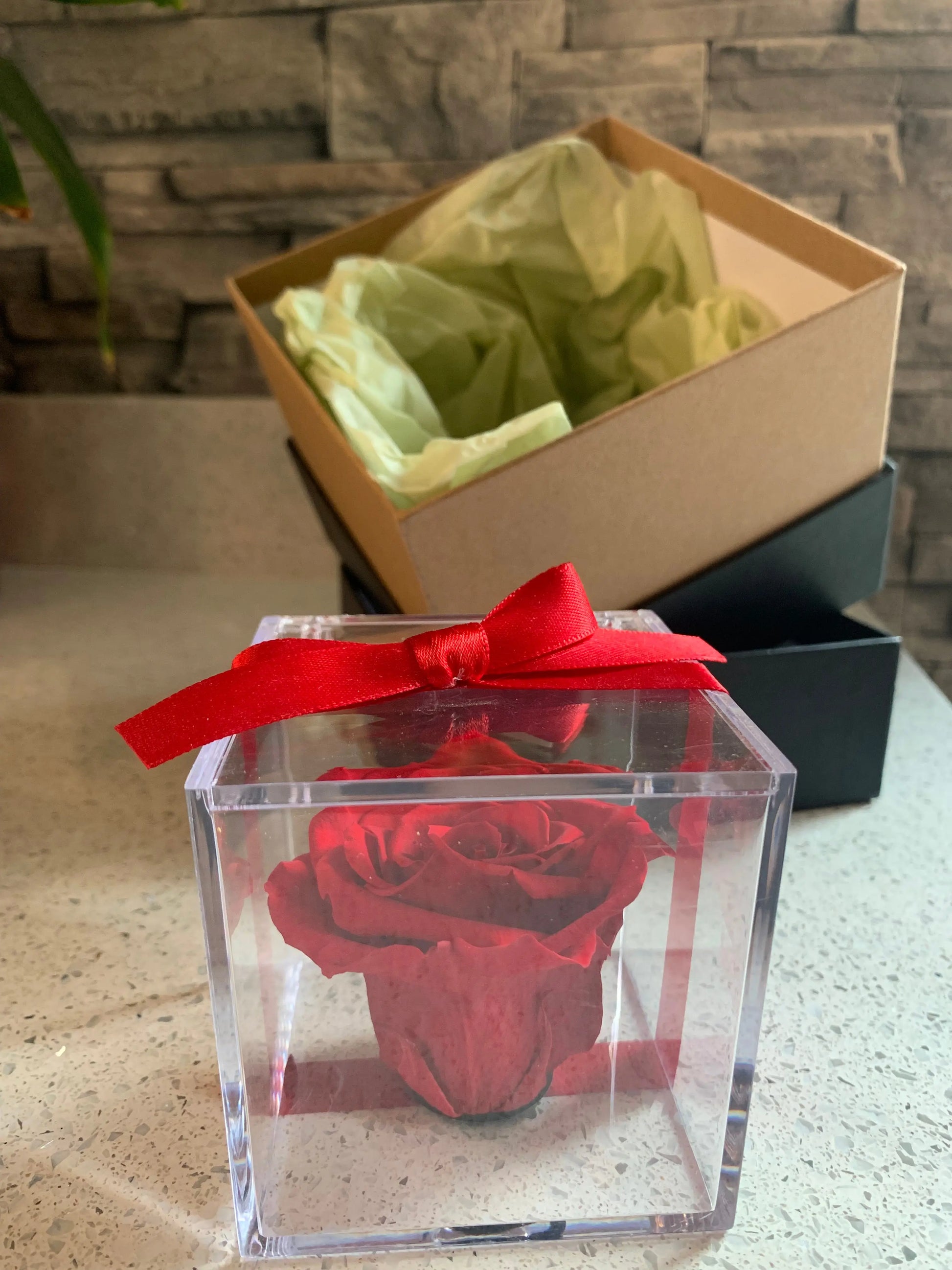 Red rose head in a clear box with a red ribbon on a stone surface.