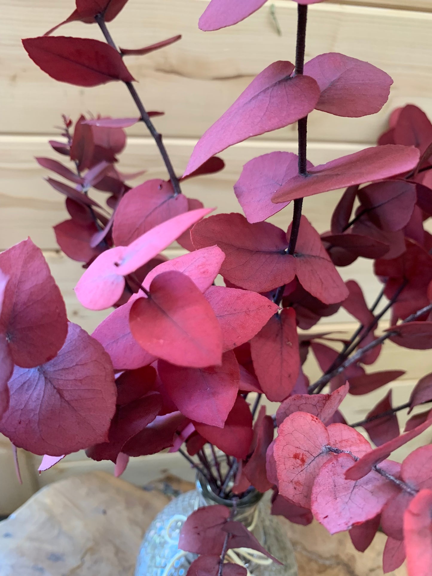 Preserved Eucalyptus - Red / Long Lasting Home Deco / Dried Flowers The Dried Flower Shop
