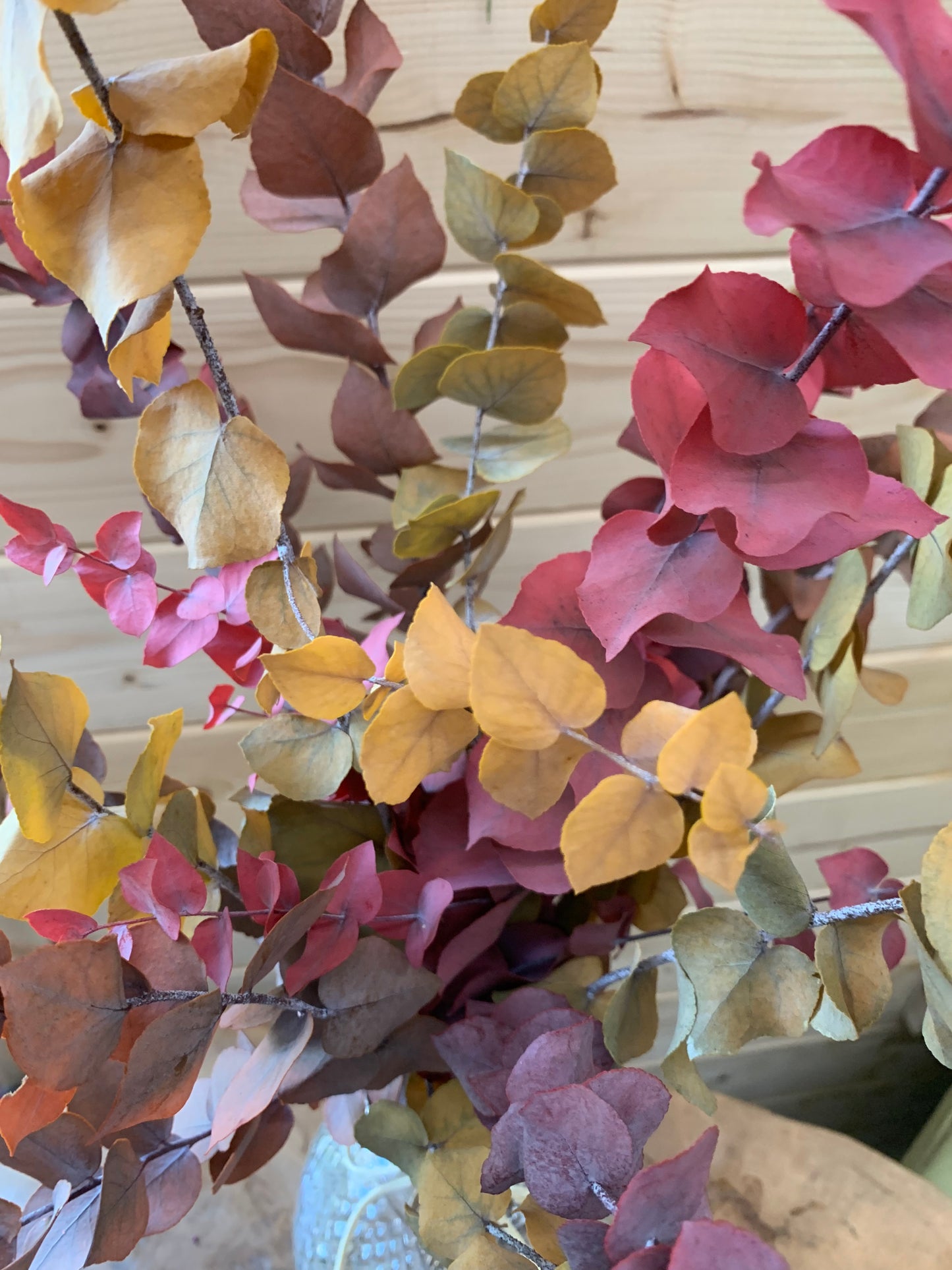 Preserved autumn eucalyptus showing leaves in shades of pink, yellow, brown, and green, shown against a light wood background.