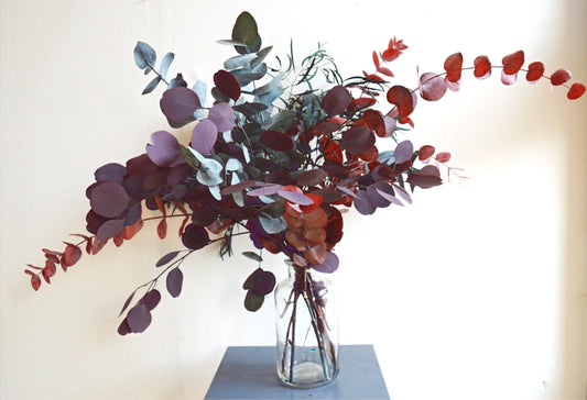 Preserved Mixed Eucalyptus in different colours, red, burgundy, green, silvery blue.  displayed in a glass jar against a white background.