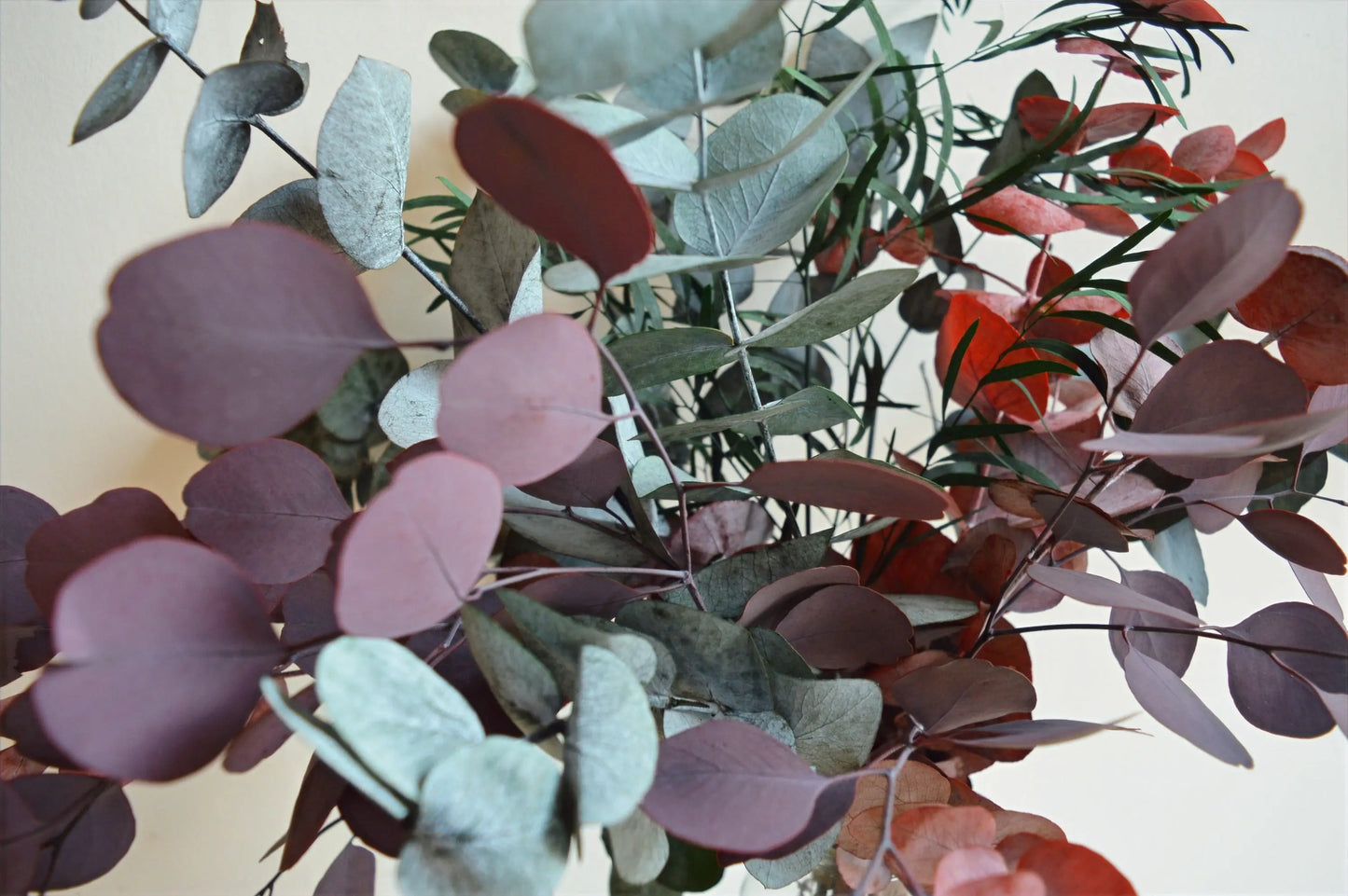 a close up of Preserved Mixed Eucalyptus Bouquet showing different shapes and colours of leaves
