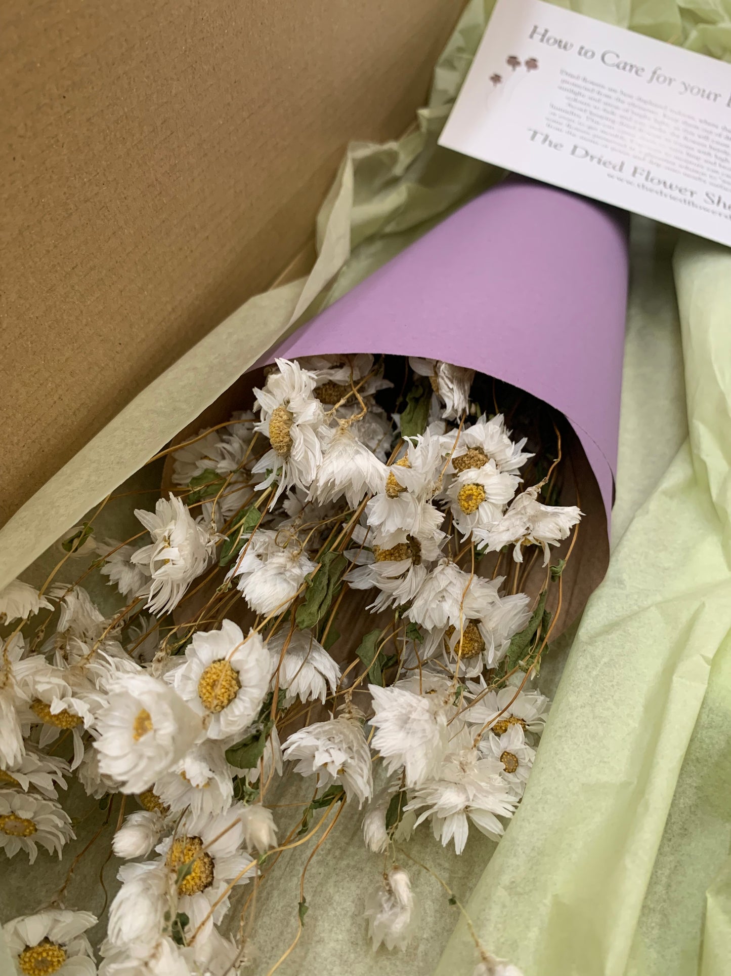 Bouquet of white flowers wrapped in purple paper with a green box in the background