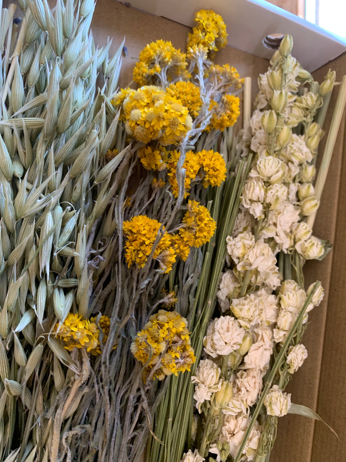 A box of dried botanicals and flowers, including white larkspur, bright yellow Sanfordii, and dried oat grasses.