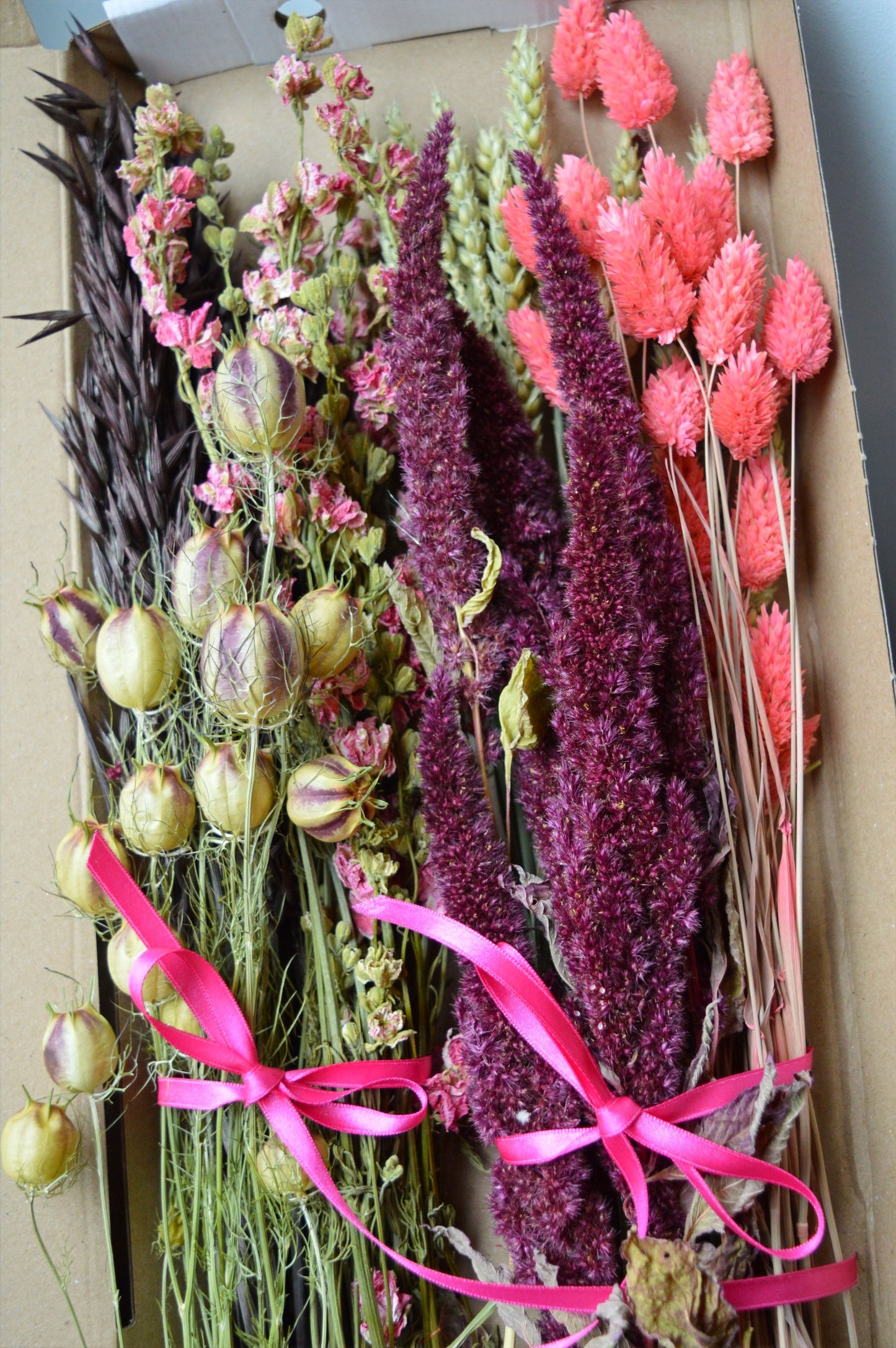 Pink and Burgundy Wild Letterbox Flowers image 3