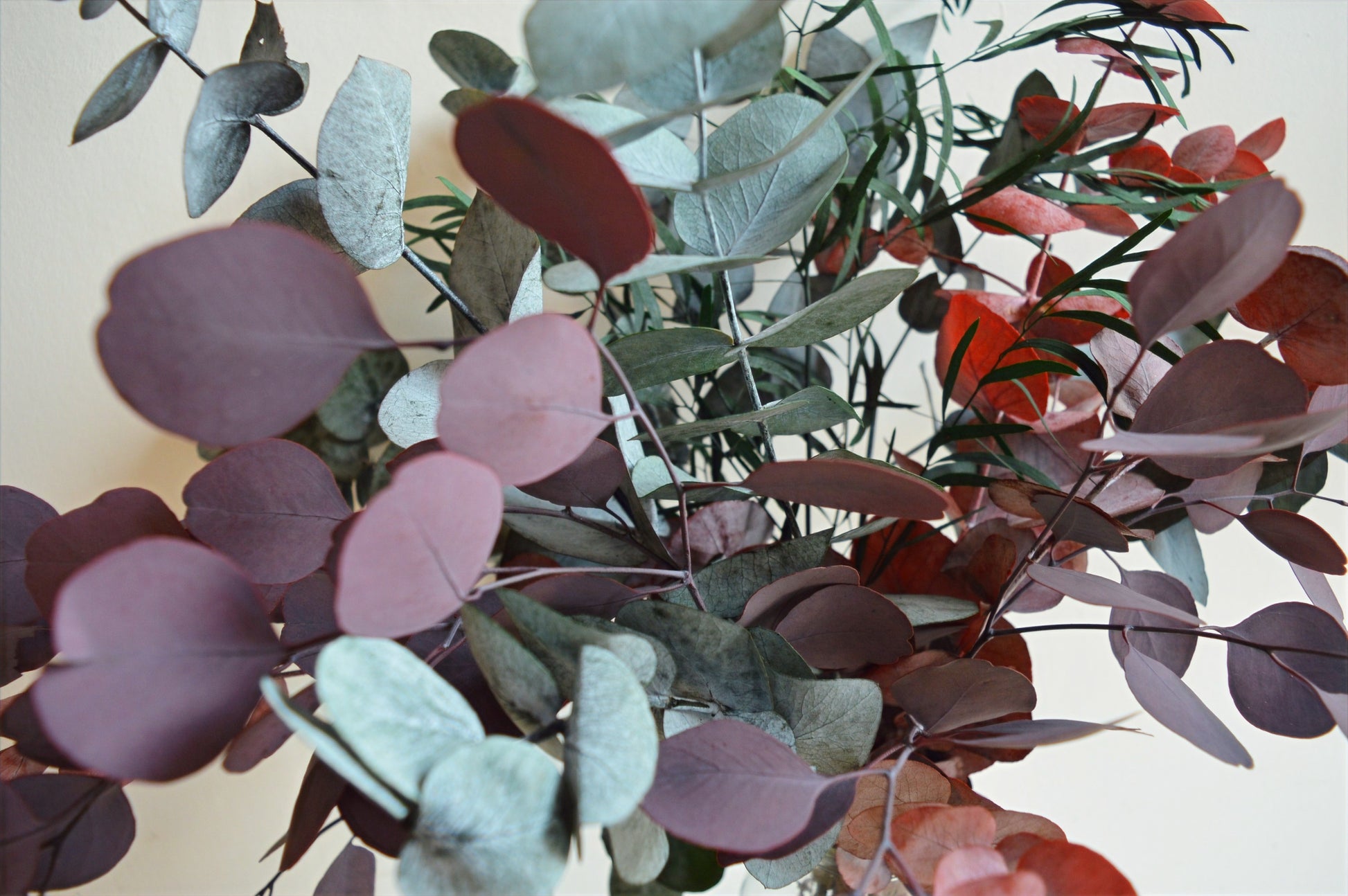 Preserved Mixed Eucalyptus Bouquet image 2
