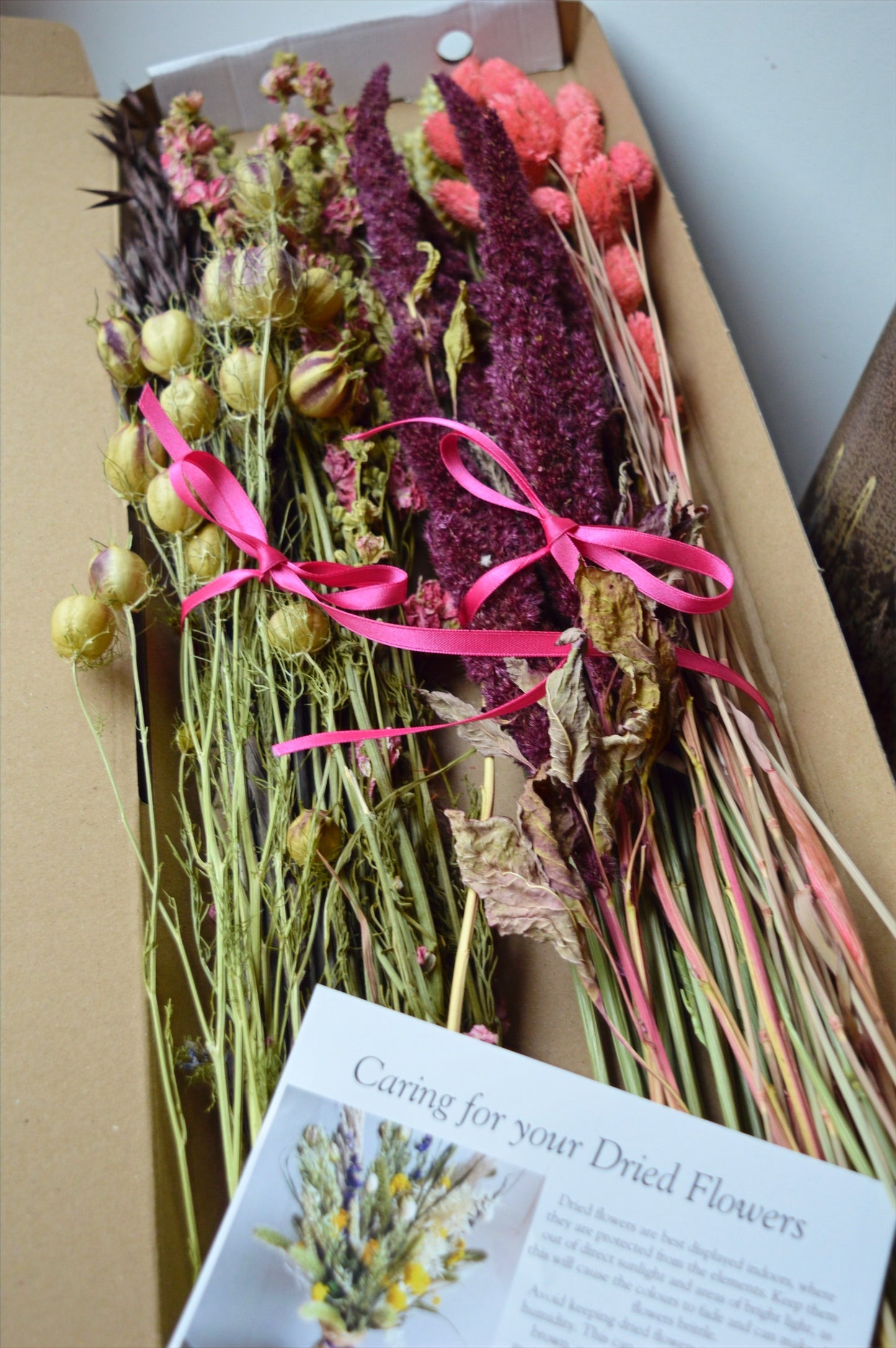 Pink and Burgundy Wild Letterbox Flowers image 1