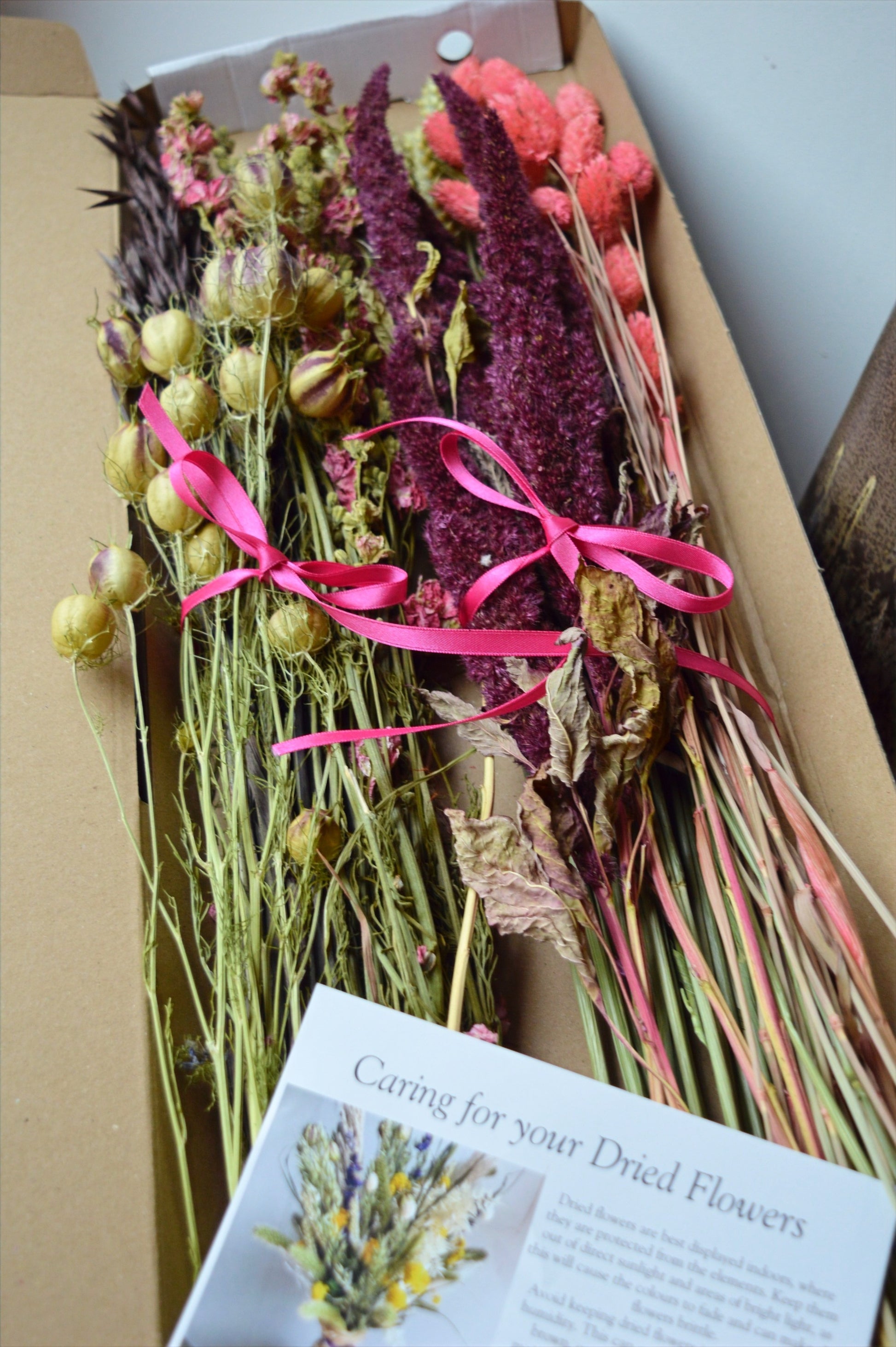 Pink and Burgundy Wild Letterbox Flowers image 1
